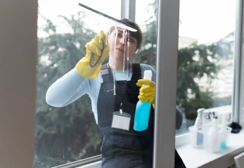 Nettoyage de vitres intérieures et extérieures à Balaiseaux